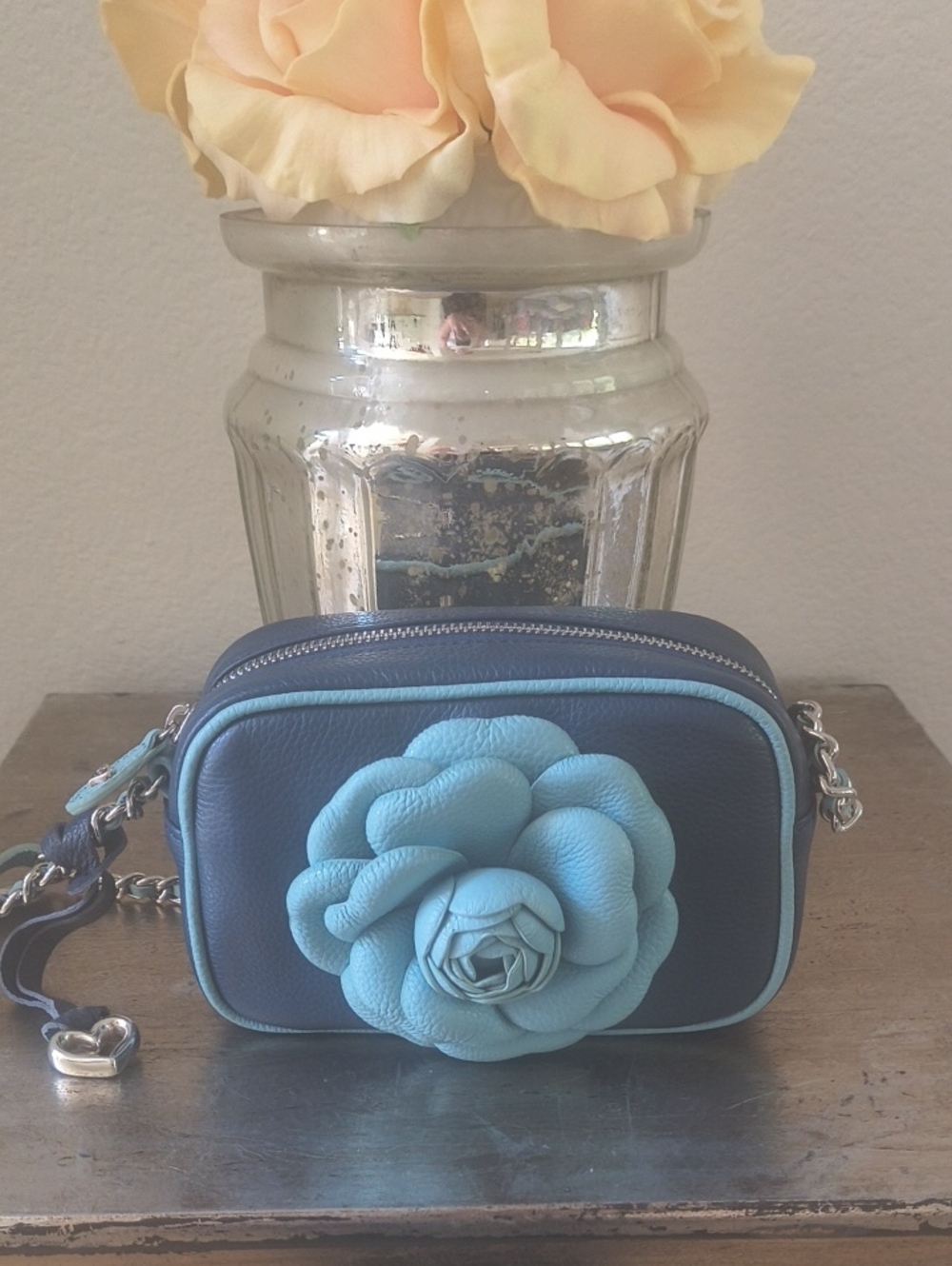 Brighton Rosie Bag🩵